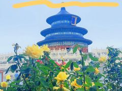 -天坛公园