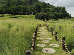 -红花山公园