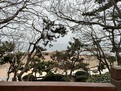 -八大关景区