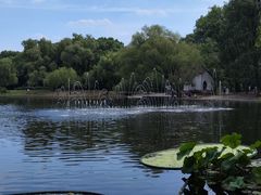 -上海共青森林公园