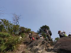 -南山植物园