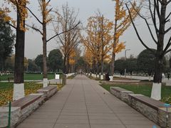 -重庆中央公园(渝北区)