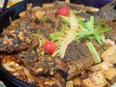 -老板恋上鱼(恒隆广场店)