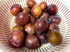 西梅-百果园(芳华路店)