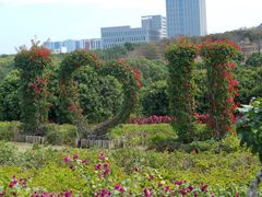-东莞植物园