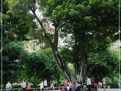 -晓港公园
