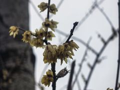 -丰台花园