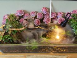 -Lumi露米·美甲美睫品质店