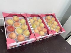 -南汇水蜜桃采摘(大团店)