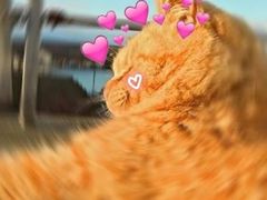 -Helens海伦司小酒馆(红旗南路店)