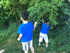 -斯瑞特国际酒店