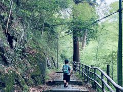 -东天目山风景区