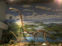 -自贡恐龙博物馆