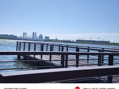 -北龙湖湿地公园