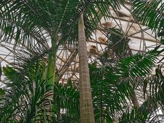-石家庄市植物园