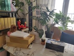 -盖氏丹辰·良咔瘦身·减脂塑形