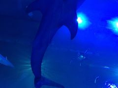 -成都浩海立方海洋公园