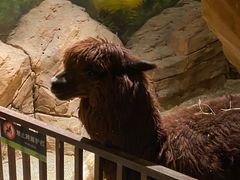 -绿色星球动物主题公园