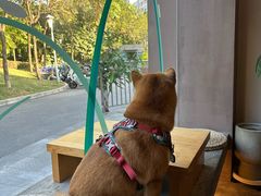-溯洄咖啡VORTEX COFFEE