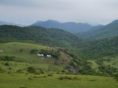 -大姆山草场