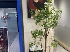 -天真蓝照相馆(五角场百联又一城店)