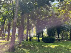 -深圳龙潭公园