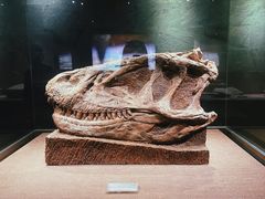 -自贡恐龙博物馆