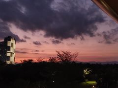 -三亚海棠湾仁恒皇冠假日酒店·大堂吧