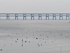 -黑石礁公园