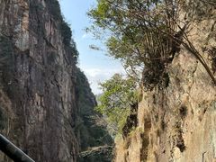 -天台山琼台仙谷景区