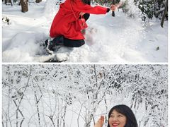 -紫金山山顶公园