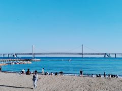 -星海湾跨海大桥