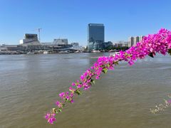 -白天鹅宾馆·流浮阁咖啡厅
