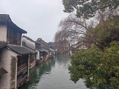 -乌镇西栅景区