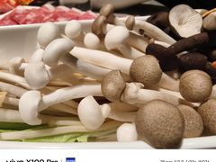 -海底捞火锅(南山京基百纳店)