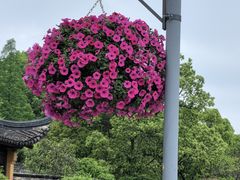 -苏州上方山国家森林公园