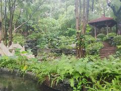 -深圳国际园林花卉博览园