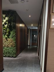 -禾颜社·精致美容