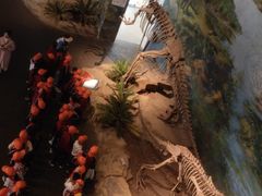 -自贡恐龙博物馆