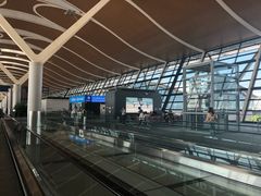 -上海浦东国际机场-T2航站楼