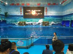 -多彩贵州城极地海洋世界