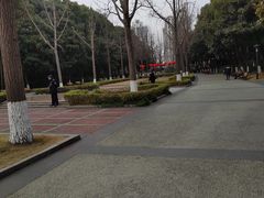 -苏州河梦清园环保主题公园