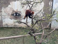 -青藏高原野生动物园