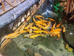 -竹山里(锁石路店)