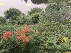 -重庆彩云湖湿地公园