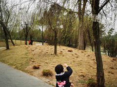 -两河城市森林公园