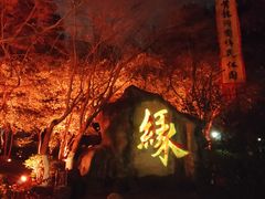 -杭州黄龙洞