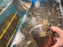 -曼格活海鲜·牛排自助(光明蓝鲸店)
