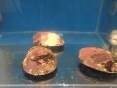 -同乐酒楼(皇后镇店)