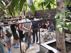 -TrueLove @ Neverland (Husky Cafe)